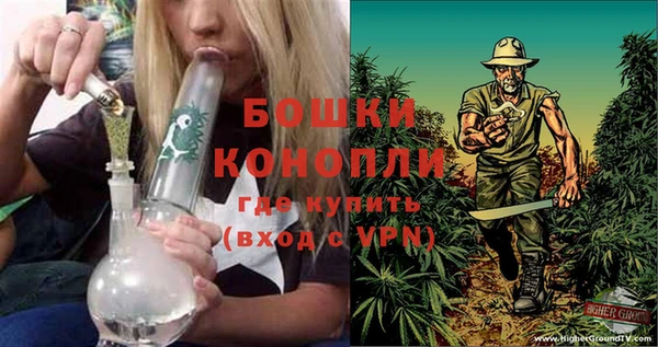 хмурый Корсаков
