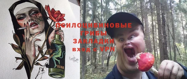 хмурый Корсаков