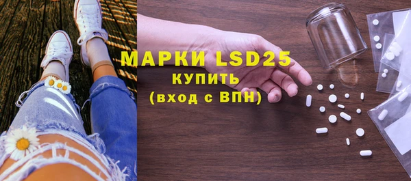 хмурый Корсаков
