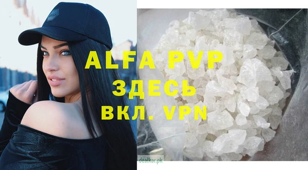 хмурый Корсаков